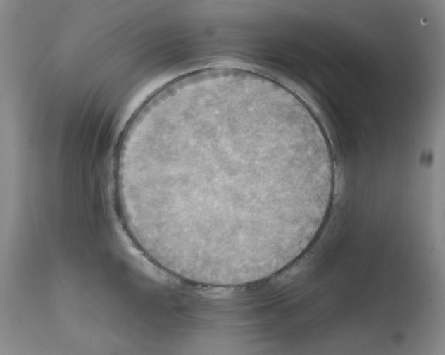 X0000112071048200909151044