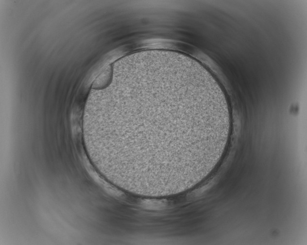X0000112071049200909151044
