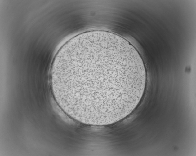 X0000112071052200909151044
