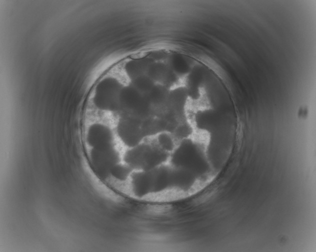 X0000112071055200909151044