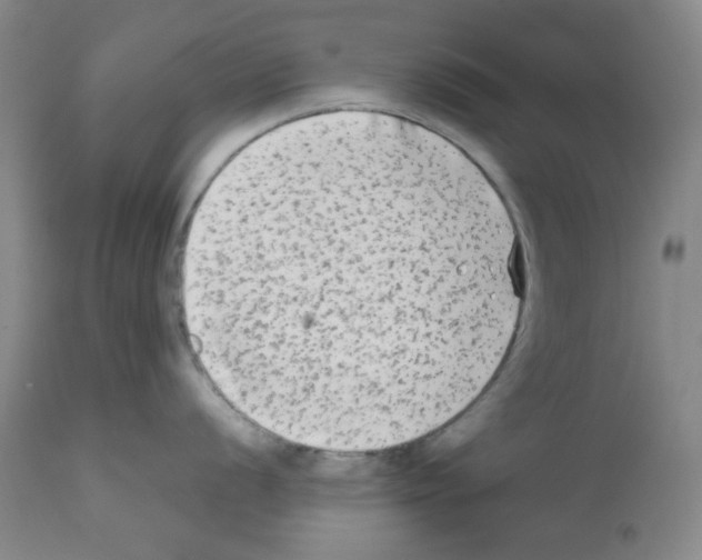 X0000112071056200909151044