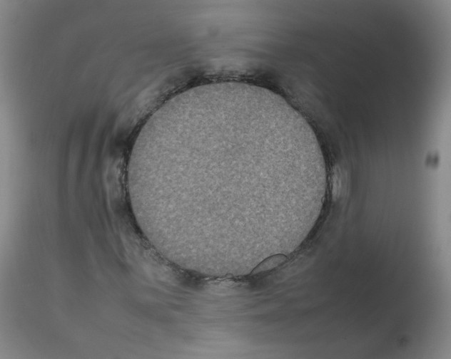 X0000112071059200909151043
