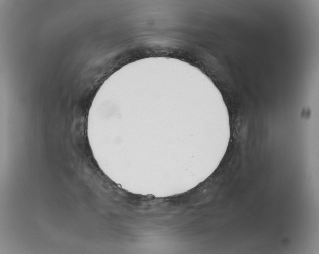 X0000112071061200909151043