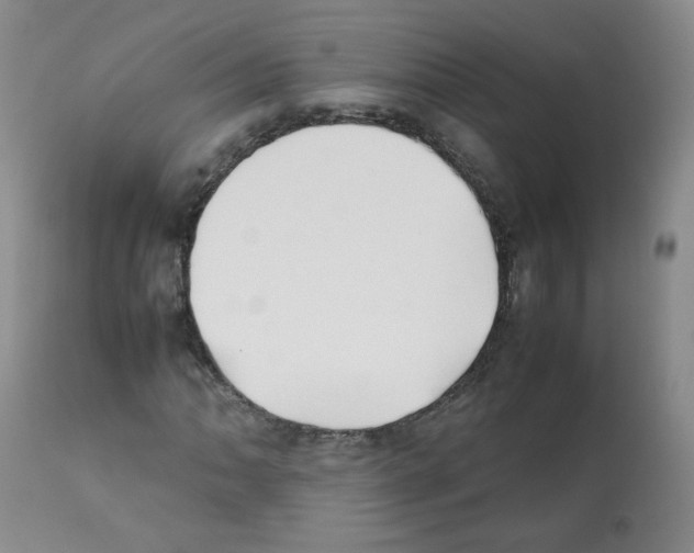 X0000112071062200909151043