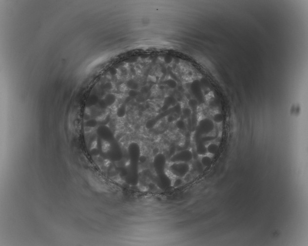 X0000112071063200909151043