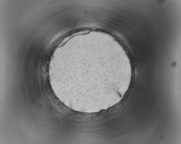 X0000112071064200909151043