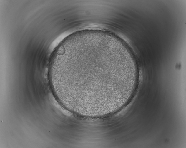 X0000112071066200909151043