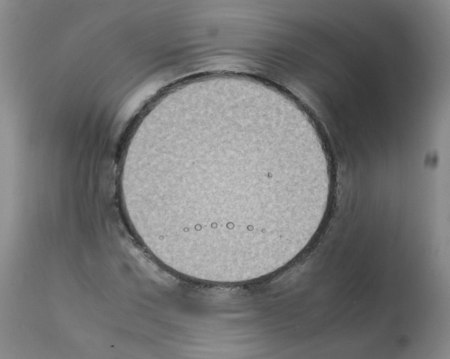 X0000112071067200909151043
