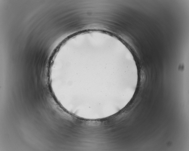 X0000112071068200909151043