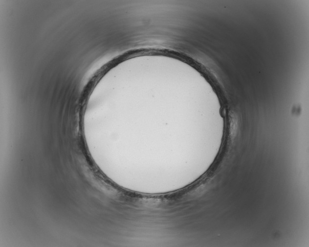 X0000112071069200909151043