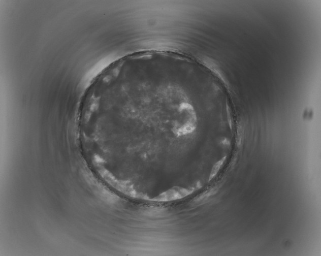 X0000112071071200909151043