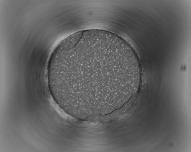 X0000112071072200909151043