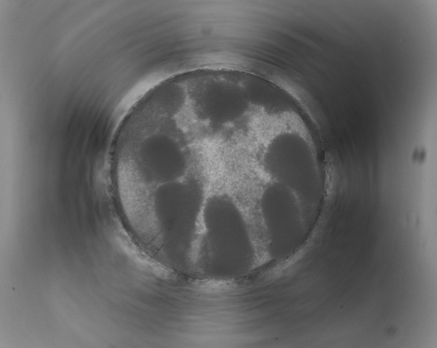 X0000112071074200909151043