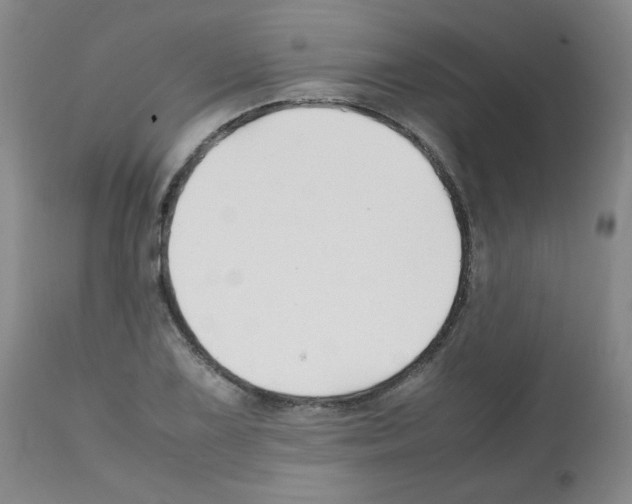 X0000112071075200909151043