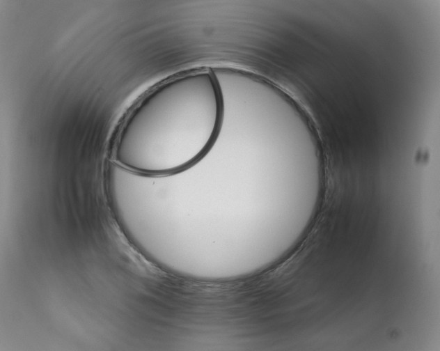 X0000112071076200909151043