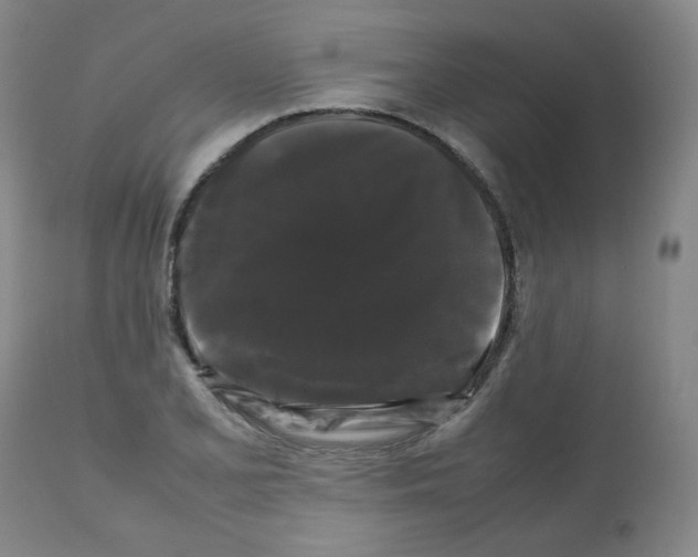X0000112071077200909151043