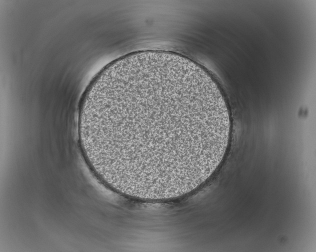X0000112071079200909151043