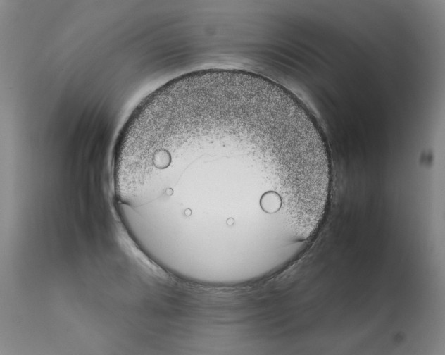 X0000112071080200909151043