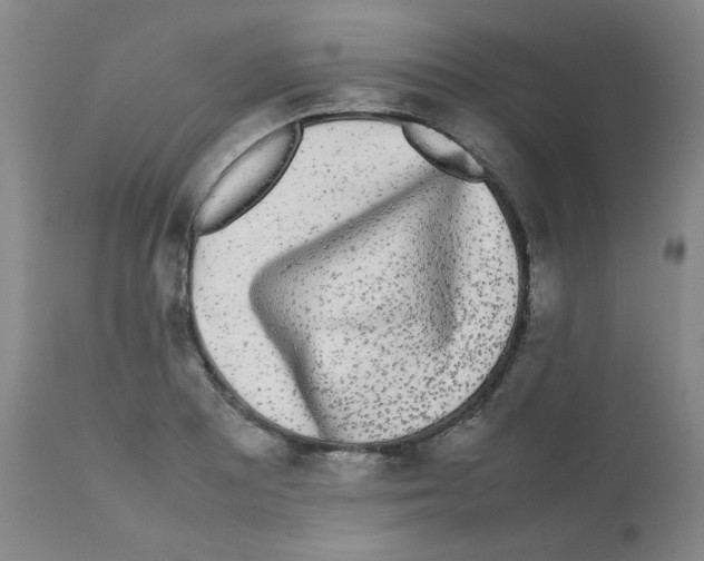 X0000112071081200909151043