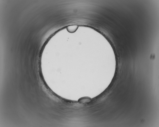 X0000112071085200909151043
