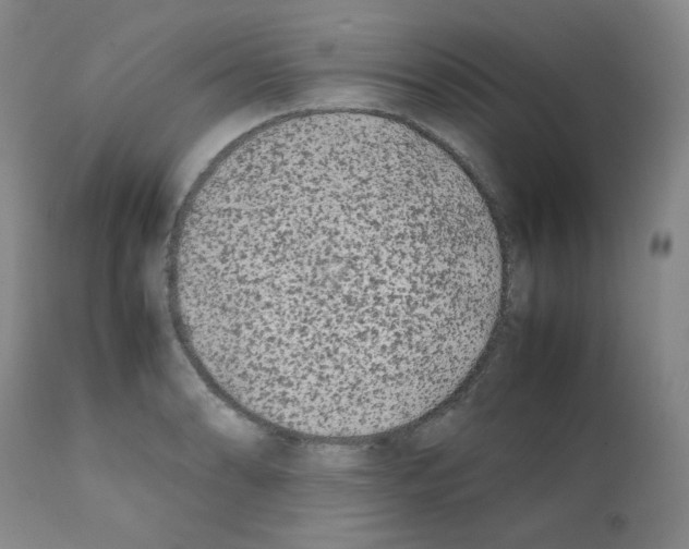 X0000112071086200909151043