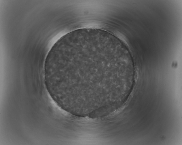X0000112071087200909151043