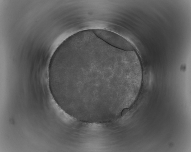 X0000112071088200909151043