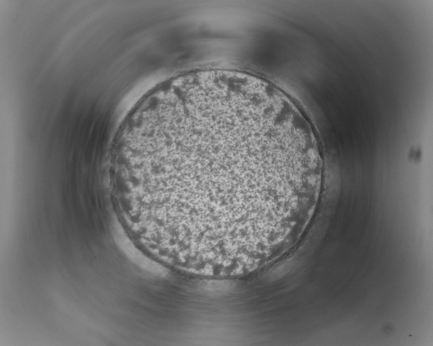 X0000112071090200909151043