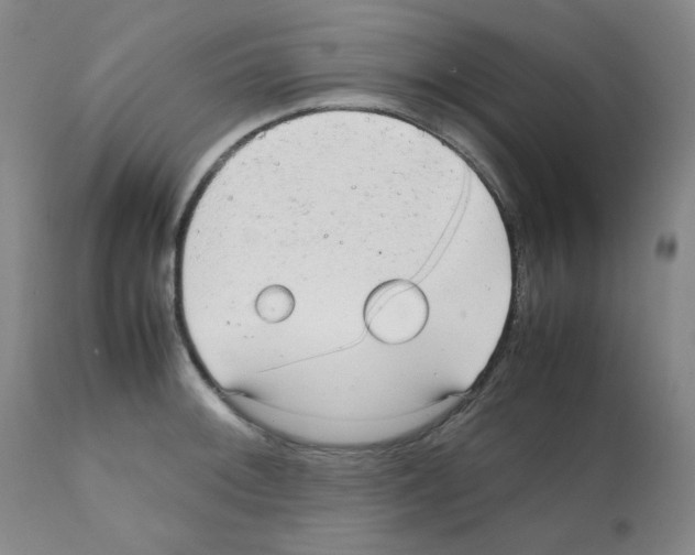 X0000112071092200909151043
