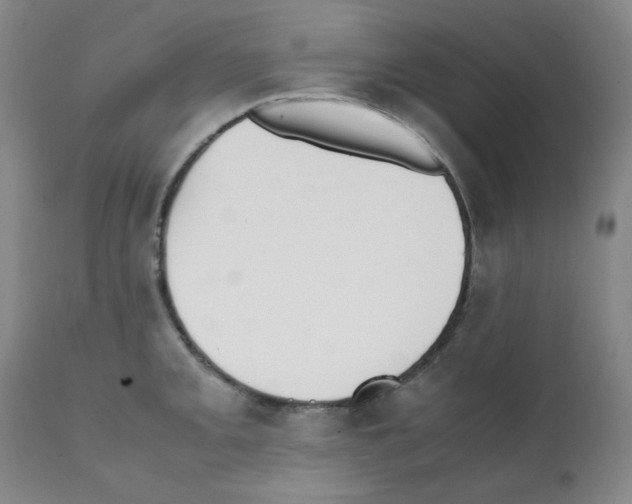 X0000112071093200909151043