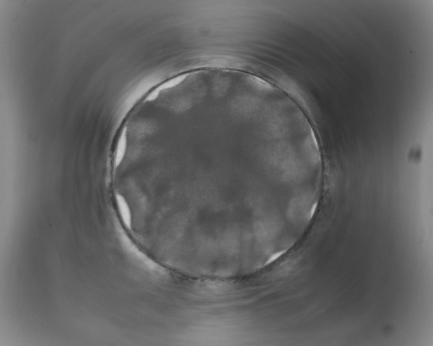 X0000112071095200909151043