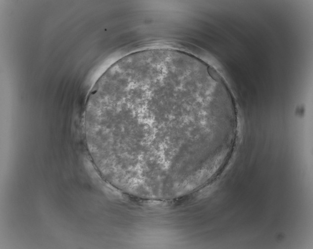 X0000112071097200909151043