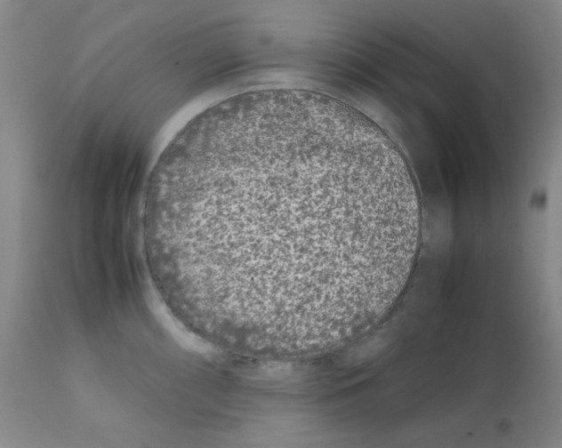 X0000112071098200909151043