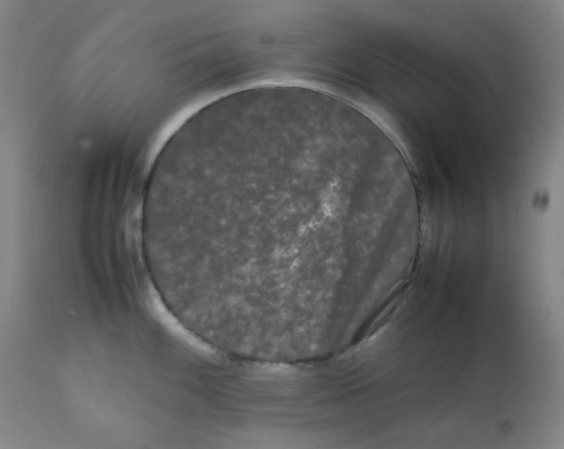 X0000112071100200909151043