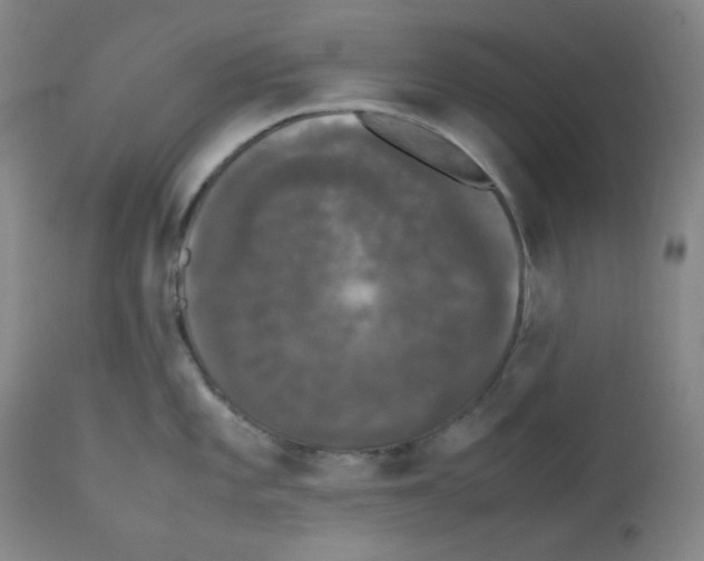 X0000112071101200909151043