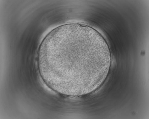 X0000112071102200909151043