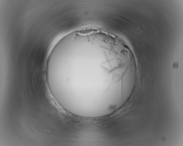 X0000112071104200909151043
