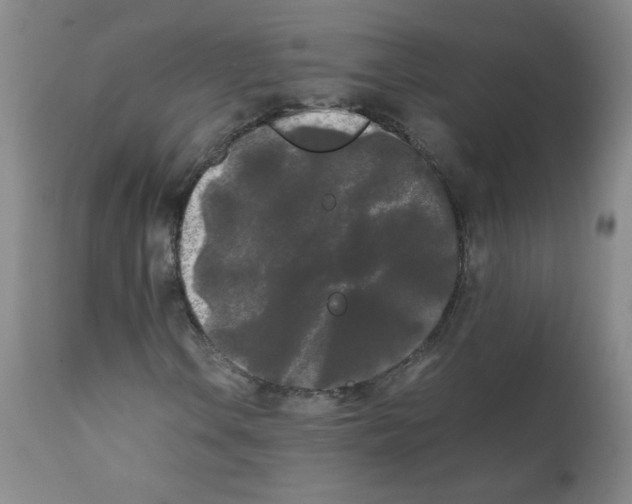 X0000112071106200909151042