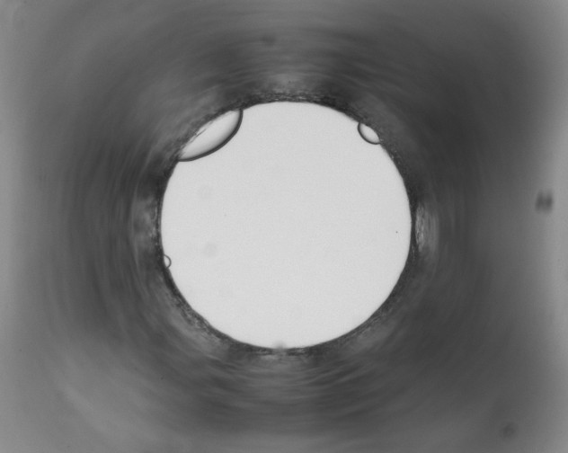 X0000112071107200909151042
