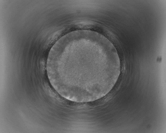 X0000112071108200909151042