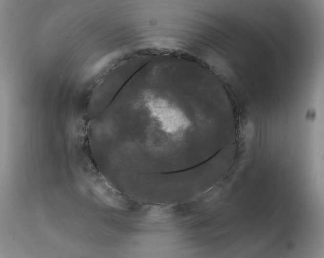 X0000112071110200909151042