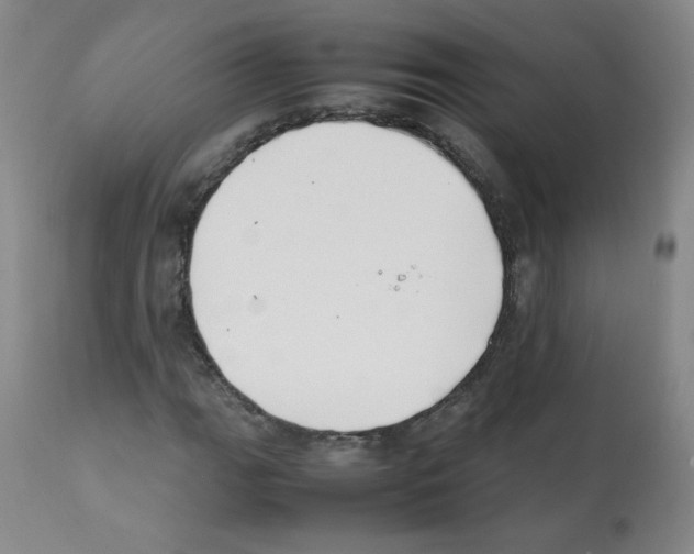 X0000112071111200909151042