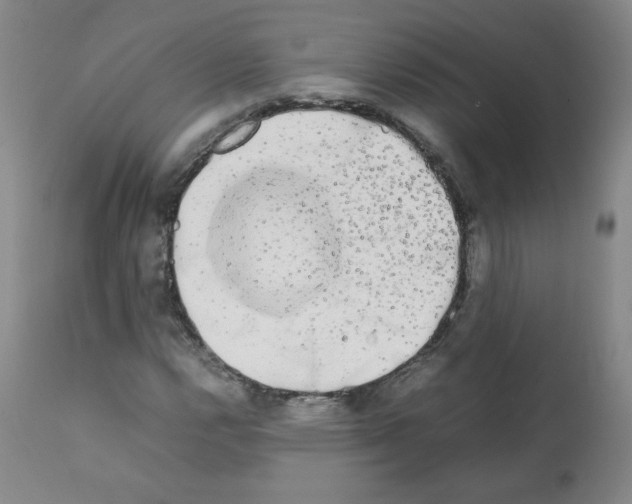 X0000112071112200909151042