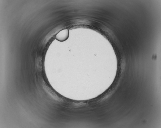 X0000112071113200909151042