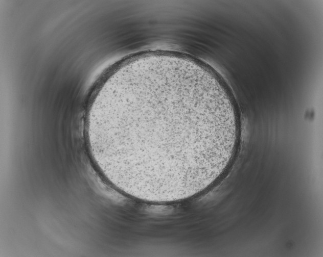X0000112071115200909151042