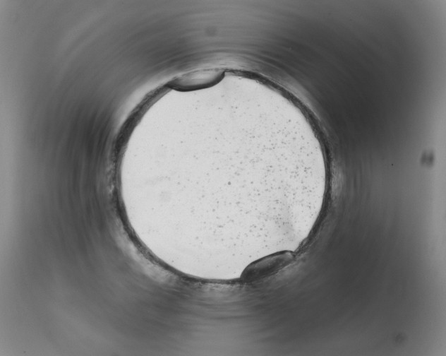 X0000112071116200909151042