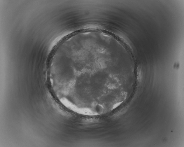 X0000112071117200909151042
