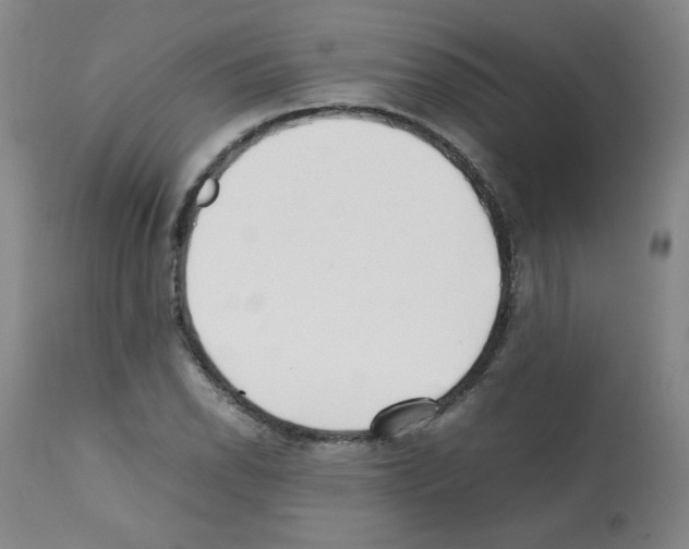 X0000112071118200909151042