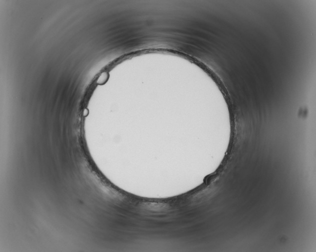 X0000112071119200909151042