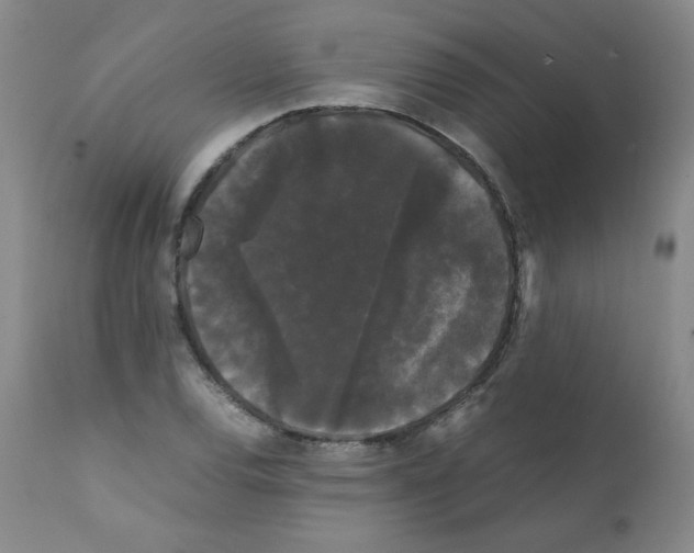 X0000112071120200909151042